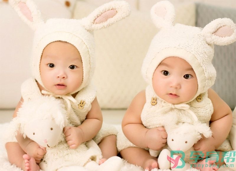 试管婴儿双胞胎可以做吗