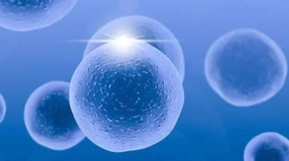 哪些因素影响试管婴儿的成功率呢？精子卵子质量不可忽视。(图1)