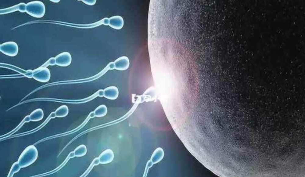 男性优质精子的6大标准，主要是通过精液常规进行评估和衡量