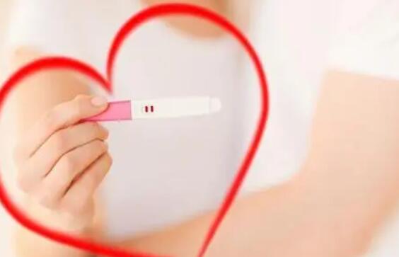 宫外孕试管移植什么胚胎成功率高多少钱？