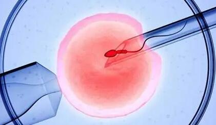 宫外孕试管移植囊胚费用一般多少钱？(图1)