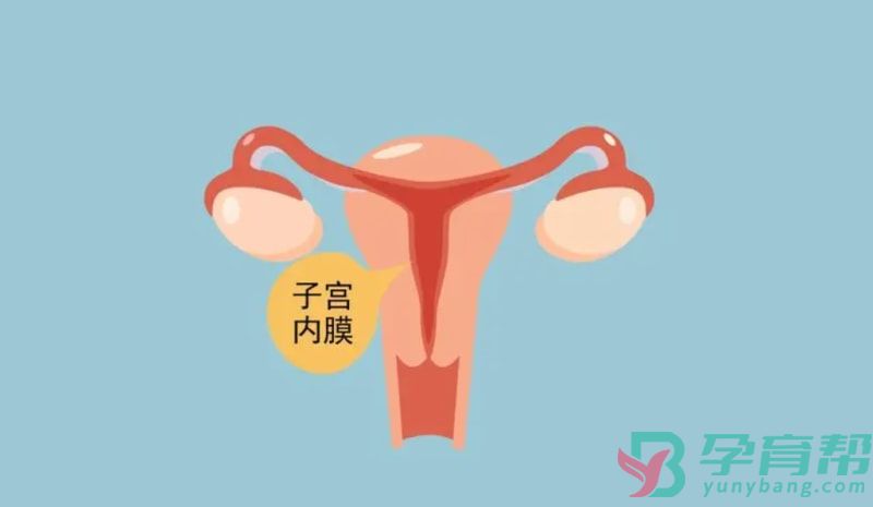 子宫内膜厚度多少正常(图1)