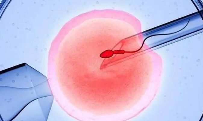 输卵管结扎手术后多久可以试管移植冻胚囊胚？(图1)