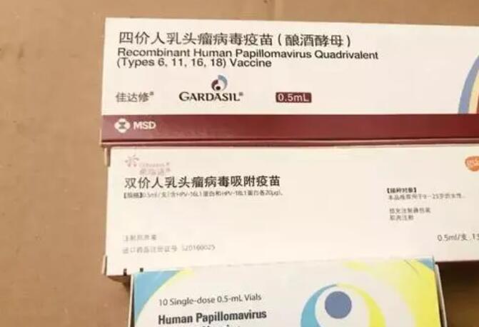 西安四价hpv疫苗多少钱一支？(图1)
