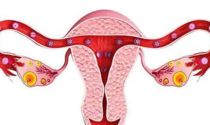 结核导致的输卵管不通能通开吗？做试管能怀孕吗？(图1)